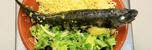 Le restaurant - La Cantine Portugaise - restaurant NANTES